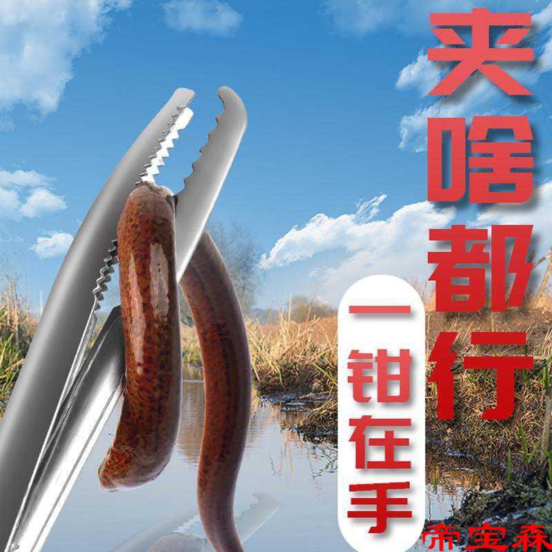 Manufactor Straight hair ricefield eel Clamp Stainless steel Eel Loach Crab Pliers Clamming