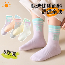 5双男女童袜子春秋中大童儿童袜子中筒彩虹袜学生百搭运动宝宝袜