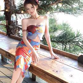 油画艺术比基尼度假小胸聚拢高级感泡温泉分体显瘦性感长裙式泳衣