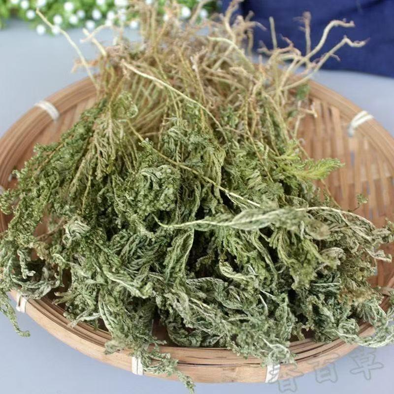 Shi Shang Bai Dried Selaginella Herb 500g Sliced Whole Plant for Decoction and Tea specifications
