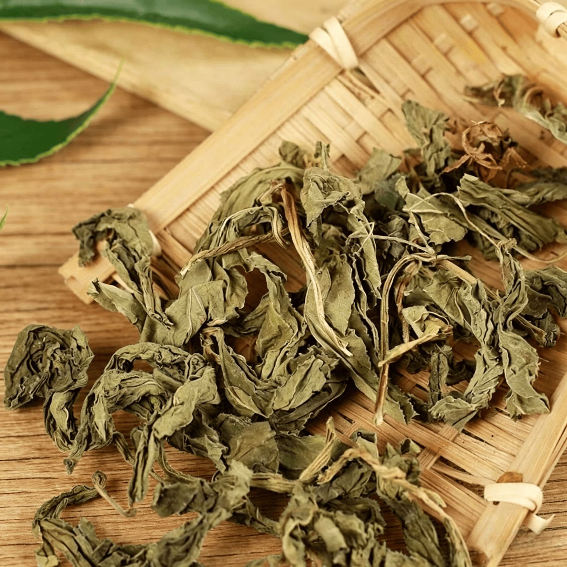 Ling Xiang Cao Dried Lysimachia Foenum Graecum Herb 500g Traditional Chinese Aromatic Herb for Tea and Decoction preparation