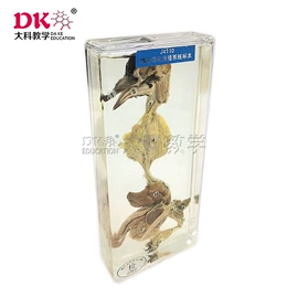 生物教学器材;教学仪器;实验室仪器