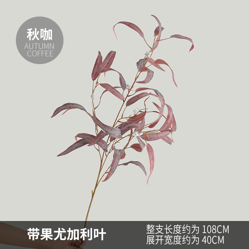 과일이 있는 커다란 곡선의 유칼립투스 잎 - Qiu Ka