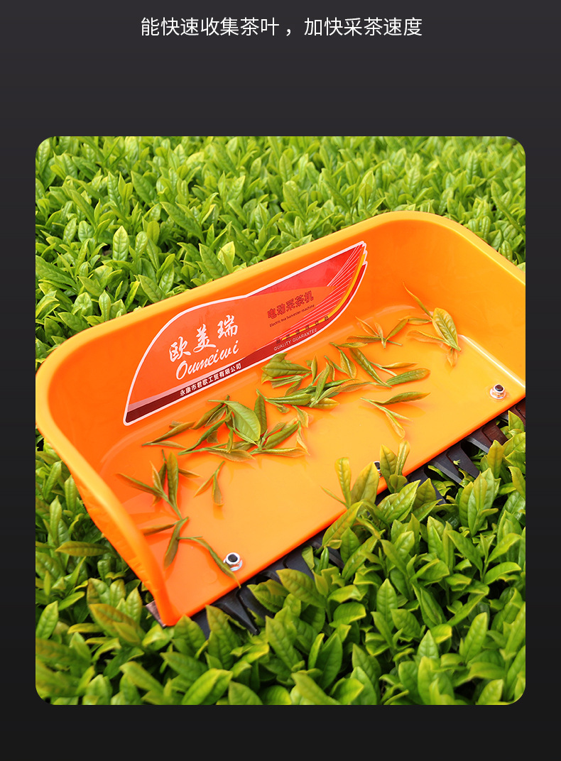 采茶机详情_05.jpg
