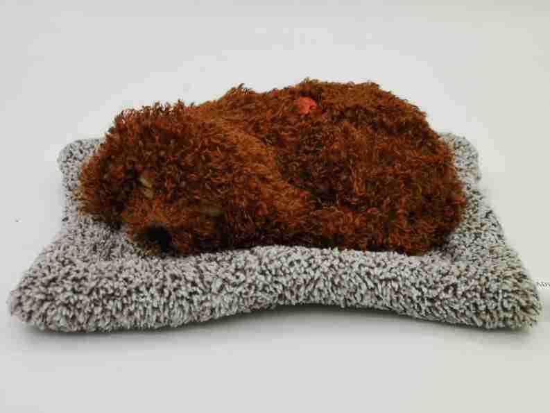 Teddy grande con pellizco