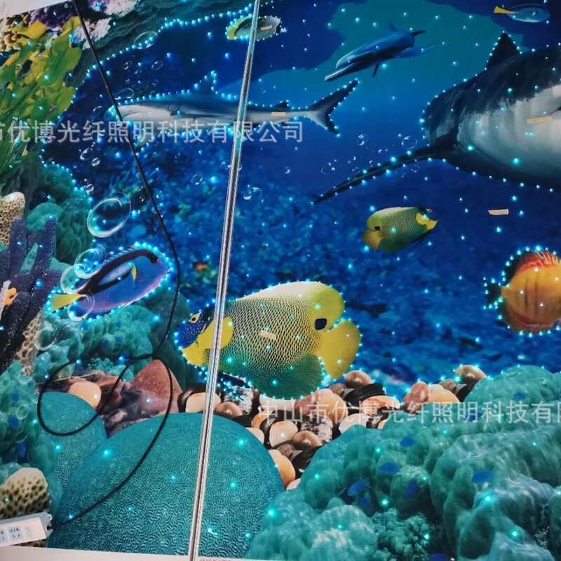 Supply light guide optical fiber starry optical fiber light colorful color changing decorative light Starry Sky Bright Supply light guide optical fiber starry optical fiber light colorful color changing decorative light Starry Sky Bright