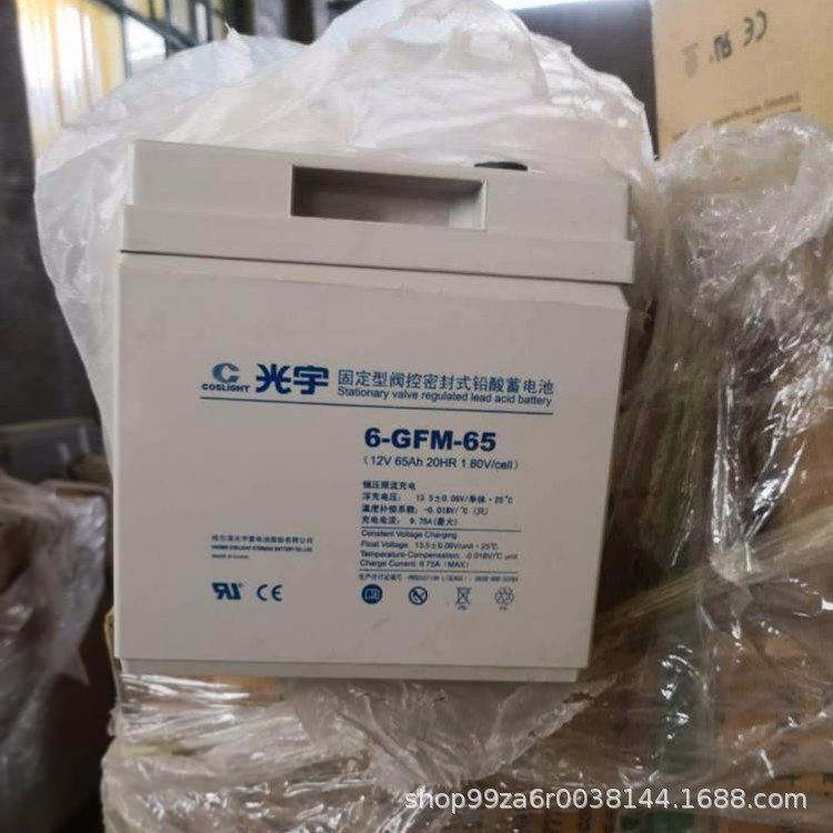 光宇蓄电池6-GFM-200免维护电瓶12V200AH固定型直流屏电源