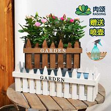 �L����ľ�řڻ��茍ľ�����Gֲ�̨����G�}�͹ń���ľ�л���