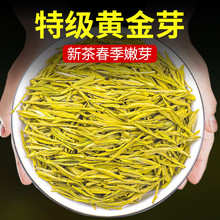 2025黄金芽茶叶新茶特级雨前白茶高山安吉绿茶散装500g礼盒装1