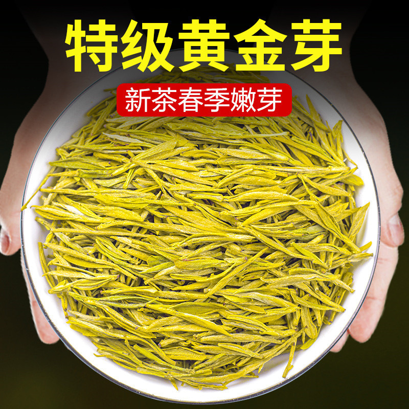 2025年黄金芽茶 新茶 特級雨前白茶 高山安吉緑茶 袋入り500g ギフトボックス入り1|undefined