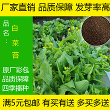 ľŲķNӷN V|̦ ̨͟ﶬļ߲