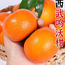 ���ڏV�����Q�ָ����r����ˮ������һ��ɳ������ɰ�Ǹ��ٴ������