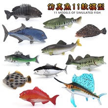 仿真海洋动物鲈鱼模型鲫鱼鲑鱼玩具红鲷鱼鲤鱼旗鱼儿童认知礼物