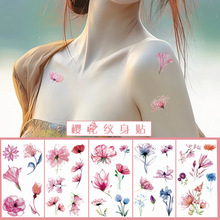 �羳�¿�ˮ��ӣ����������ˮ�����ʻ�С��������������Ů������