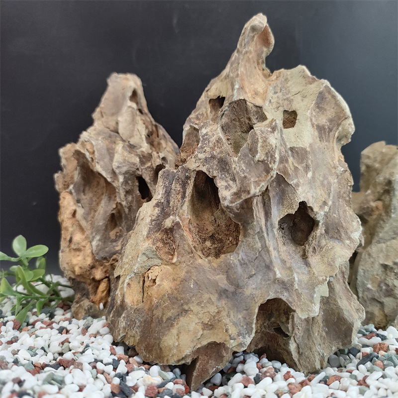 aquarium decor