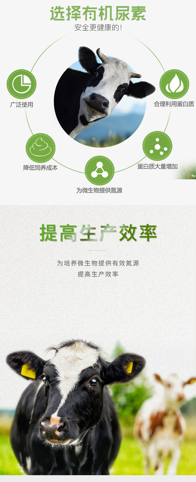 饲料级-详情页_04