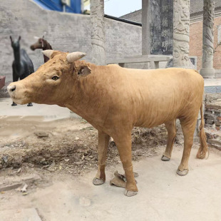 һ��һ����ţģ�̈́����Sţˮţ��ţ�T��չ�dչ�[�b��^�@�ֵ���