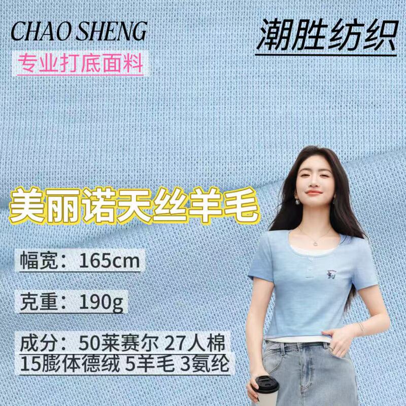 Lyocell Tencel Skin-Friendly Anti-Pilling Fabric 190g Merino Wool Acrylic Stretch Base T-Shirt Knitted Fabric