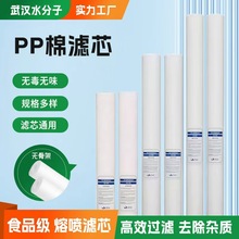 不带骨架10寸20寸30寸40寸PP棉滤芯净水前置精密保安过滤器喷熔
