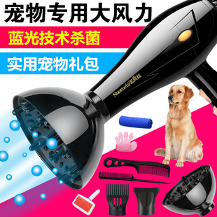 Pet Hair Dryer High-Power Dog Teddy Bath Cat Dryer Water Blower Small Dog Hair Dryer
