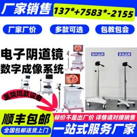 医用 4K电子阴道镜 推车式工作站 AI 图文报告二类注册证厂家批发