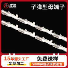 F؛S~aӏĸB@ĸ^Bm187Ӿ