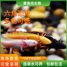 ���ǿ����~6��ϔ��B�����o��������B�ͻ���ˮ�~�^�p�~
