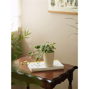 ֲ��˽���� ѩ�������ِ����~���\ins�L�̨����С��ֲ��