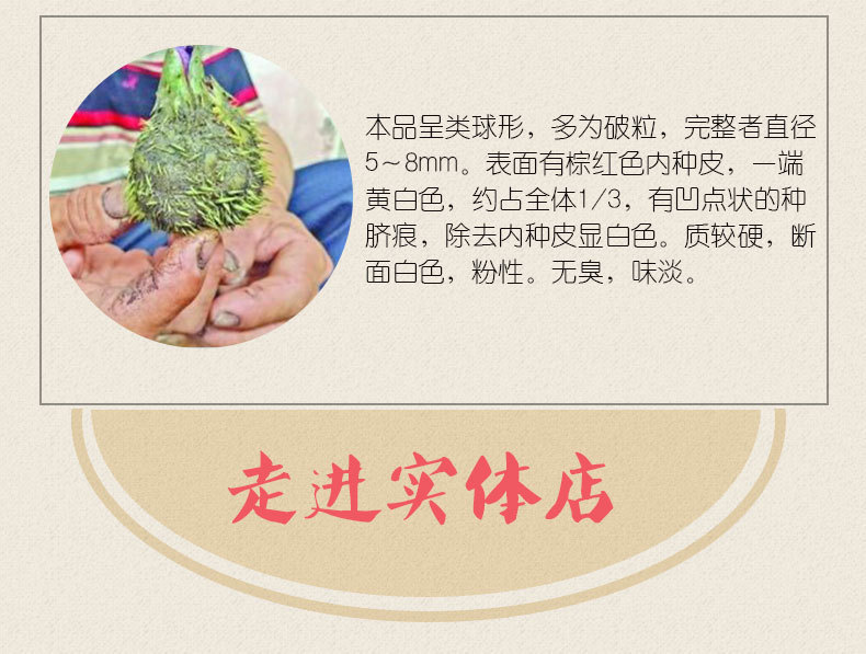 Dried Gorgon Fruit Qian Shi 500g Premium Euryale Seeds for Soup Congee and Herbal Decoction quality and texture
