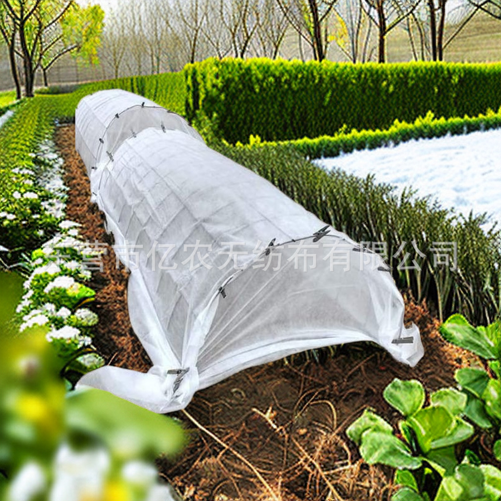 O1CN01iRmm9R1bWgVrit66b_!!2924243473-0-cib.jpg?__r__=1722235751854