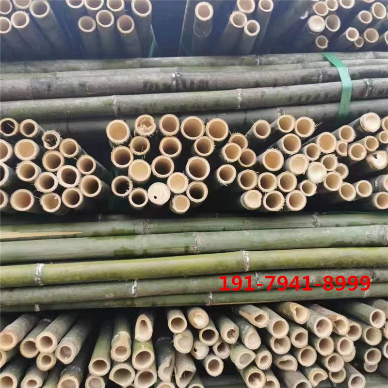 29543e6496e5206bff406913d99f04