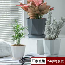 ��ŷľ�������촴����֬��ֲ������̨���ϻ���Ӻ��ھ������ó