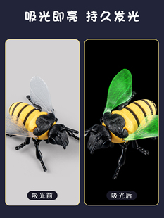 �l�l���x���烺ͯ����֪�����ģ�ͷ��������朗l�ך��x����ư�x