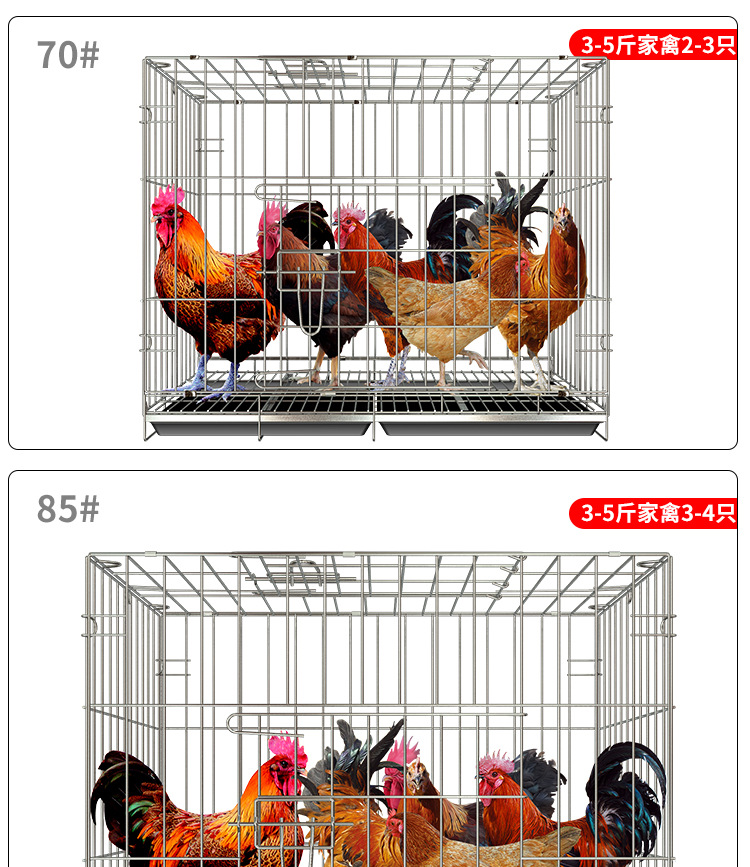 鸡笼子建模_15