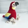 Red parrot