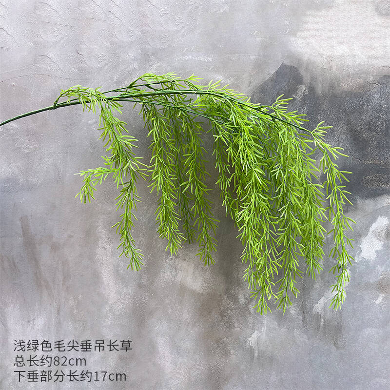 연한 녹색의 뾰족한 털이 늘어진 풀