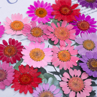 ���� Ѻ���ɻ�diy�R���������z�Ʒ�����޹Ϟ�T��ĉ������~�滨