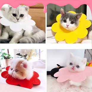 Cat Beauty Sunflower Headgear Pet Slip Towel Felt Cloth Elizabeth Cute Collar Lightweight Headgear