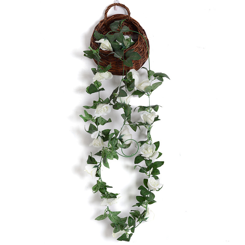 16-head Rose vine Blanco