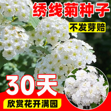 �����ջ��N���ļ��Nֲ�_���׻����Ի����̨ͥԺ�S����Ȫ���^����