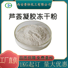 库拉索芦荟凝胶粉100:1库拉索芦荟凝胶冻干粉SC工厂现货包邮