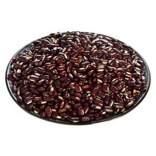 新货广西长粒赤小豆农家自产自种非红豆赤小豆薏米茶去/湿气杂粮