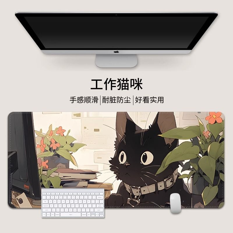 일하는 고양이