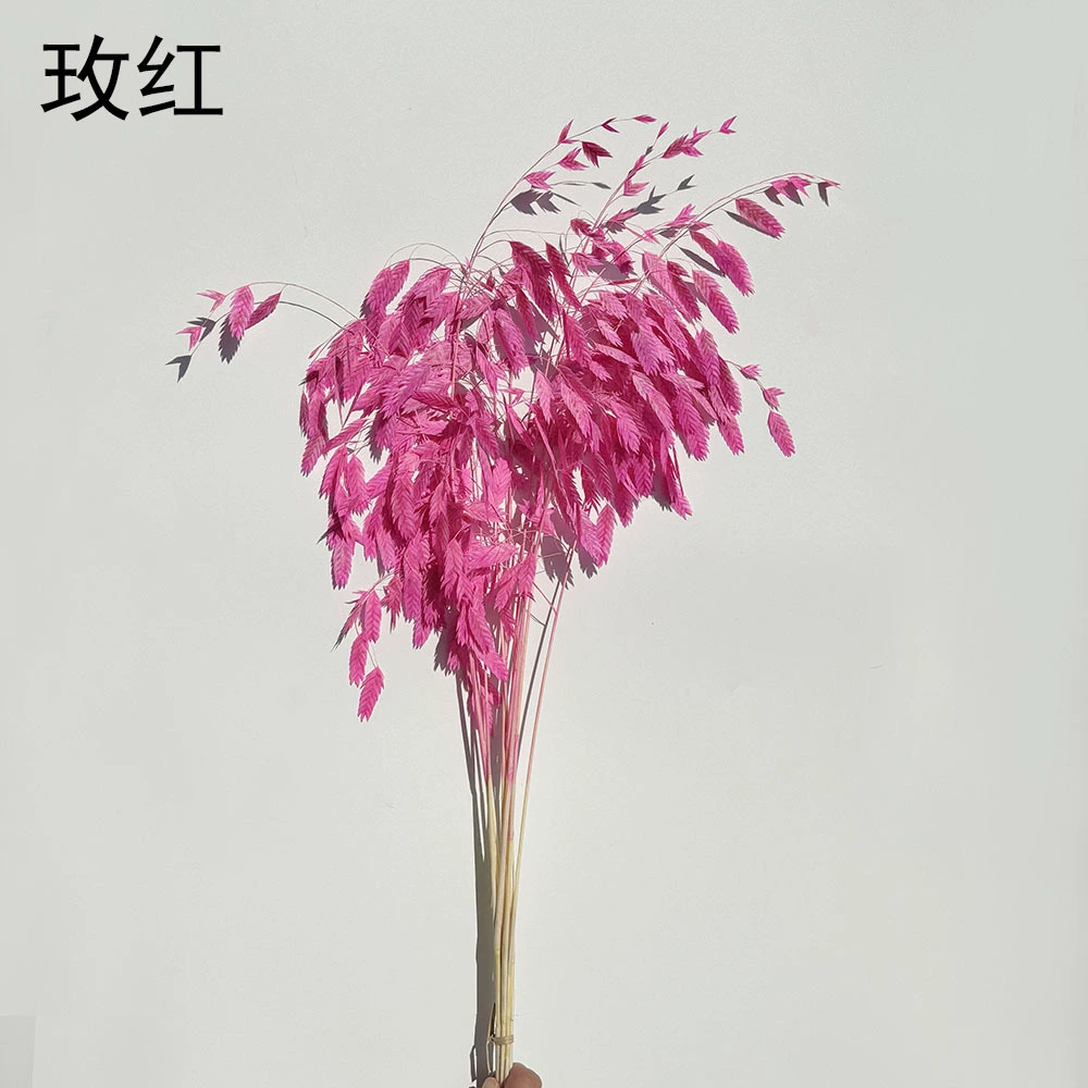 Сохранённые вечные цветочные стебли Xiao Pianwang Cao, цветочная сушёная букетная композиция, 10 шт, 30–60 см