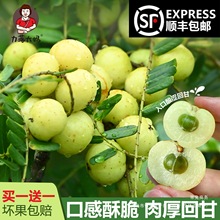 ����S���] ���𡿳��Ǵ��͸ʹ����r�����͸��ЋDˮ��ե֭����