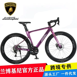 山地自行车;公路自行车;自行车