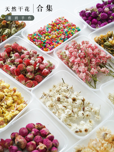 ���h������Ȼ�w���ɻ�diy���Ϟ�T���ϰ�޹�²�����b��ֹ�����