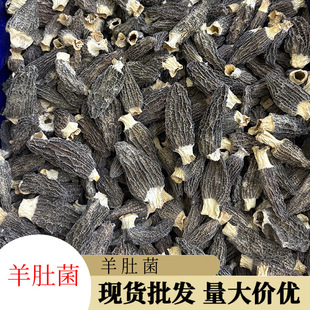 ��Ʒ��ϸ�؛250g��Ǿ�Ģ��ɢ�b�F؛���l�Ҝ�ʳ��Ģ��ɢ�b���l