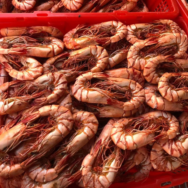 九節海老斑節海老乾即食特大サイズ海老乾特大サイズ焼き海老間食海鮮干物|undefined