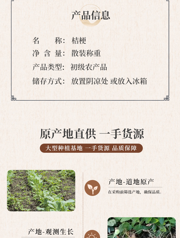Dried Platycodon Root Slices Jie Geng 斜片 Traditional Herbal Decoction Ingredient quality and texture